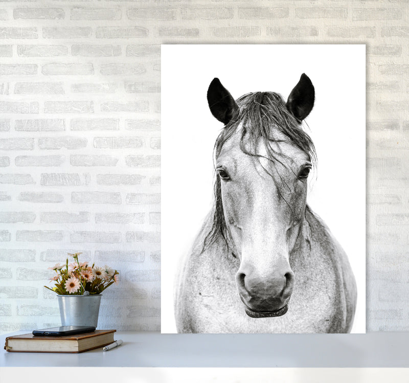 Horse I Photography Print by Victoria Frost A1 Black Frame