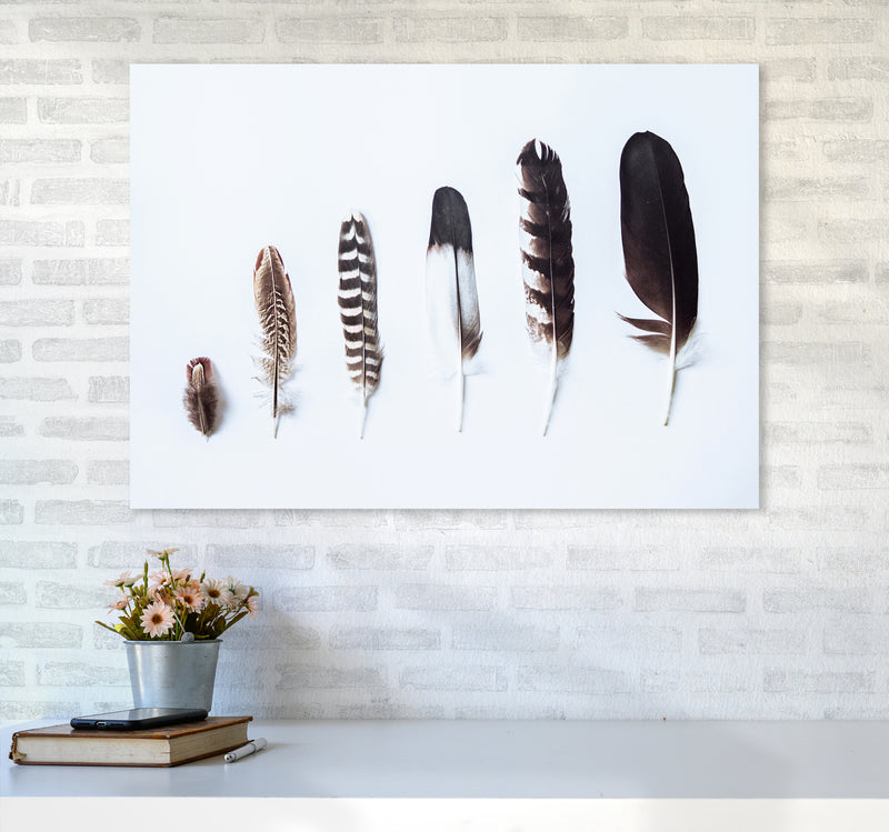 Feathers II Photography Print by Victoria Frost A1 Black Frame