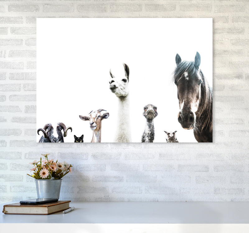 Animal Crew Photography Print by Victoria Frost A1 Black Frame