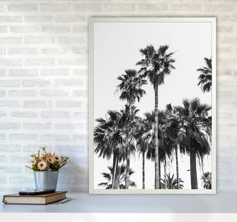 Sabal palmetto II Palm trees Photography Print by Victoria Frost A1 Oak Frame