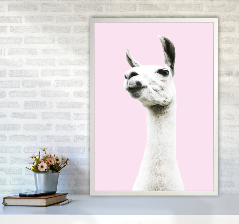 Pink Llama Photography Print by Victoria Frost A1 Oak Frame