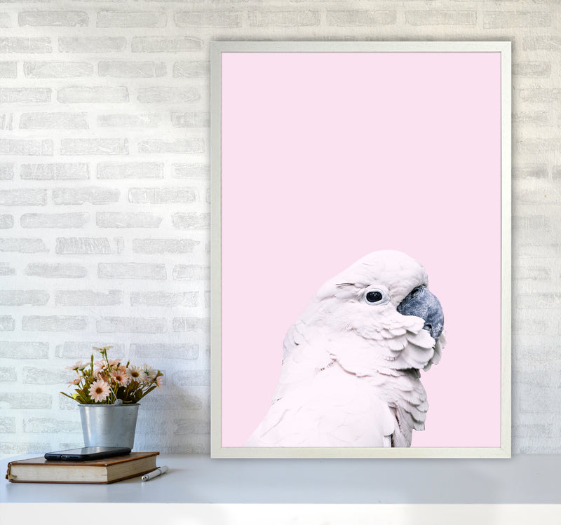 Pink Cockatoo Photography Print by Victoria Frost A1 Oak Frame