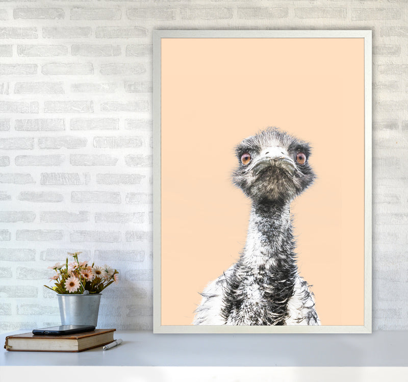 Orange Emu Photography Print by Victoria Frost A1 Oak Frame