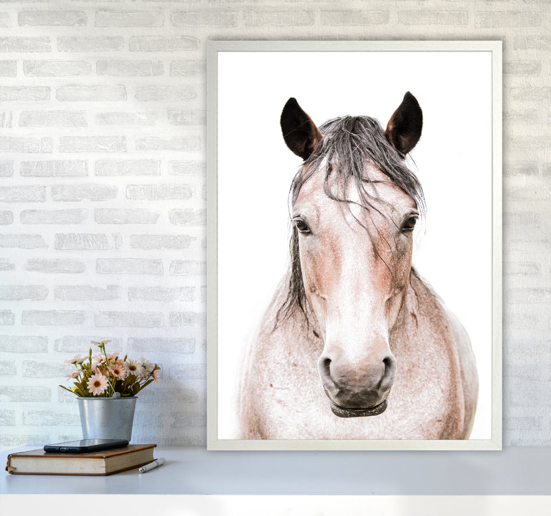 Horse Photography Print by Victoria Frost A1 Oak Frame
