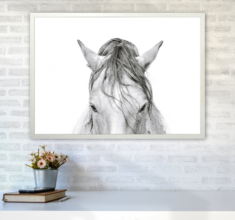 Horse II Photography Print by Victoria Frost A1 Oak Frame
