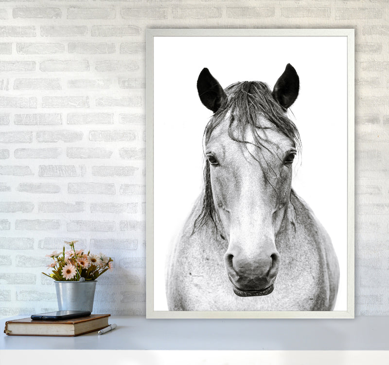 Horse I Photography Print by Victoria Frost A1 Oak Frame