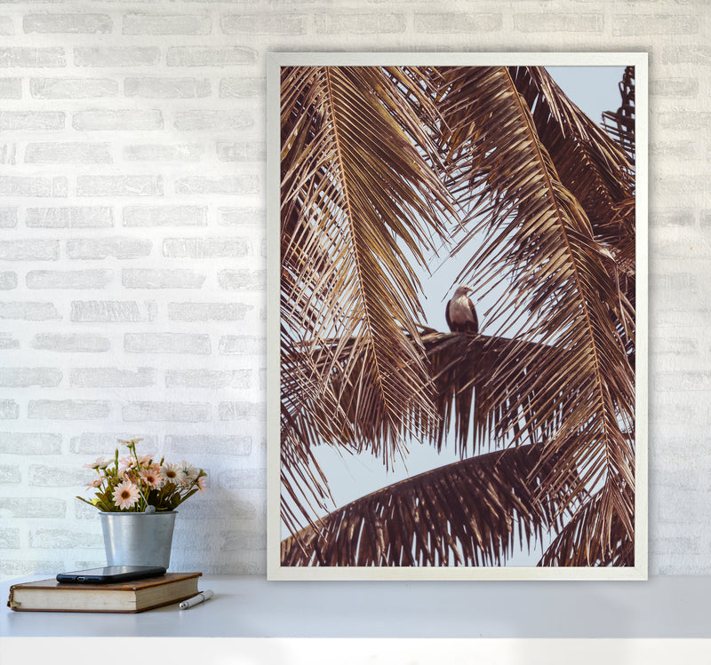 Eagle Photography Print by Victoria Frost A1 Oak Frame