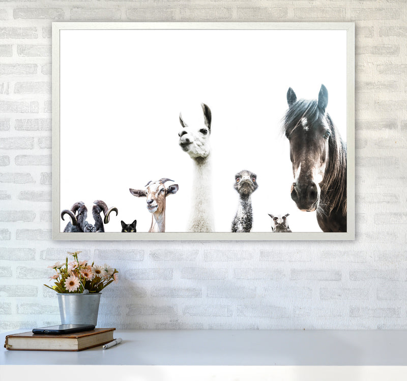 Animal Crew Photography Print by Victoria Frost A1 Oak Frame