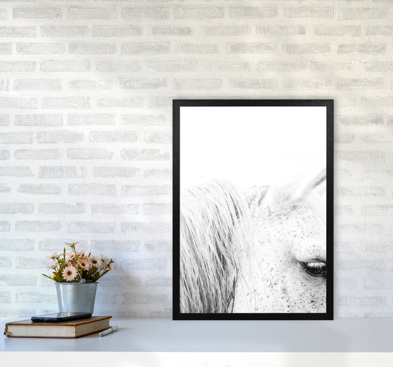 White Horse II Photography Print by Victoria Frost A2 White Frame