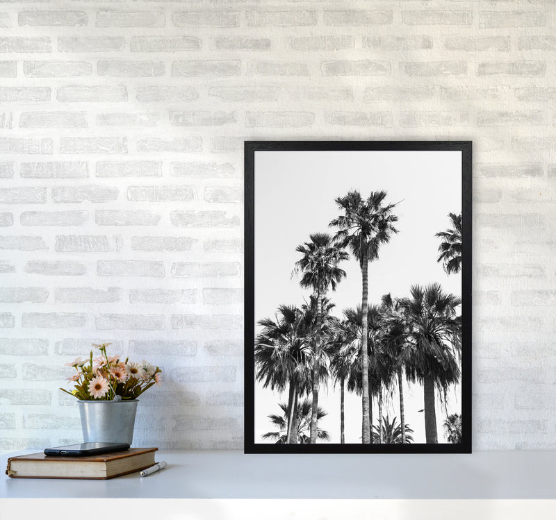 Sabal palmetto II Palm trees Photography Print by Victoria Frost A2 White Frame