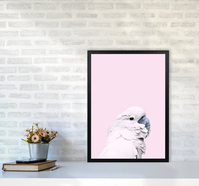 Pink Cockatoo Photography Print by Victoria Frost A2 White Frame