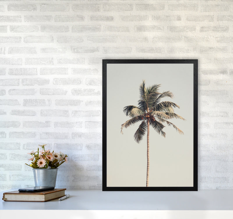 Palm tree by the beach Photography Print by Victoria Frost A2 White Frame