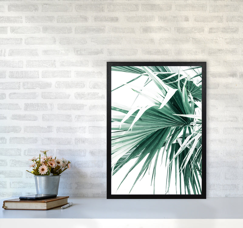 Palm Leaves Photography Print by Victoria Frost A2 White Frame