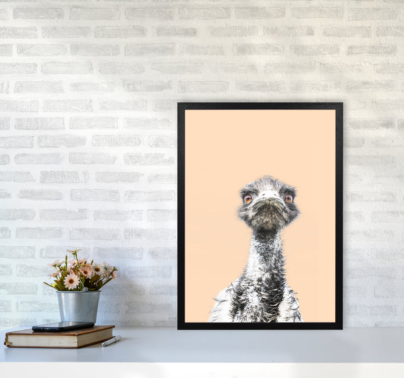 Orange Emu Photography Print by Victoria Frost A2 White Frame