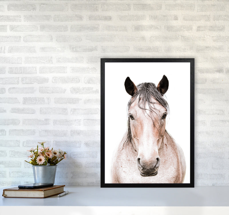 Horse Photography Print by Victoria Frost A2 White Frame