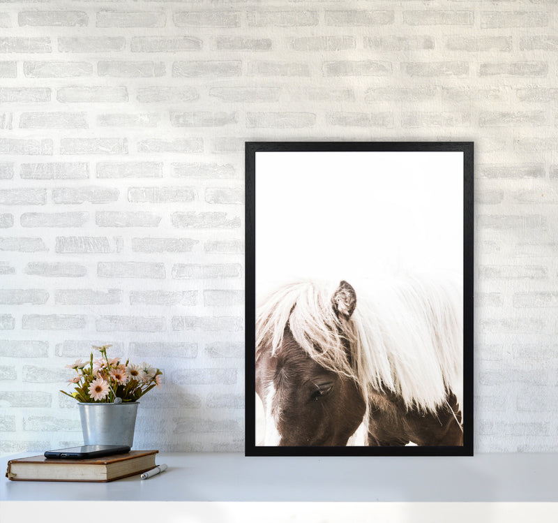 Horse III Photography Print by Victoria Frost A2 White Frame