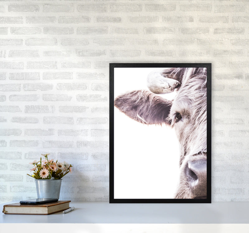 Highlander II Photography Print by Victoria Frost A2 White Frame
