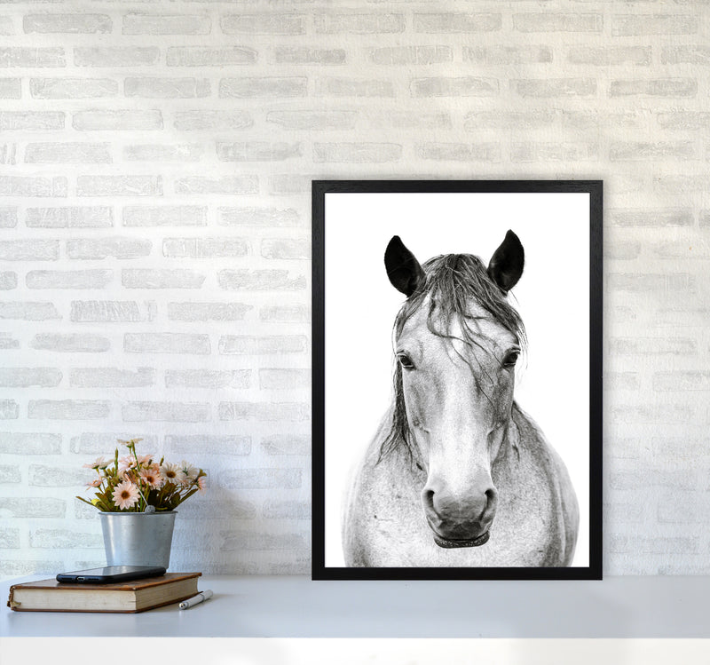 Horse I Photography Print by Victoria Frost A2 White Frame