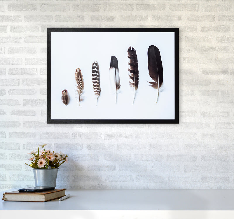 Feathers II Photography Print by Victoria Frost A2 White Frame