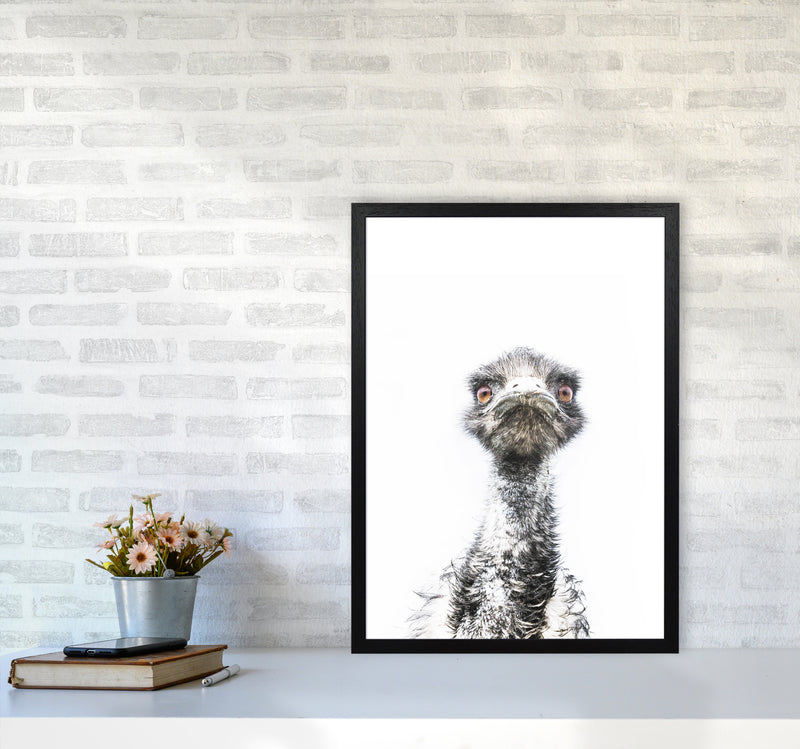E.M.U Photography Print by Victoria Frost A2 White Frame