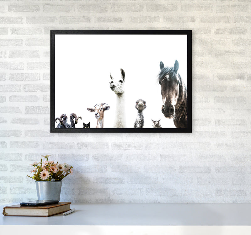 Animal Crew Photography Print by Victoria Frost A2 White Frame