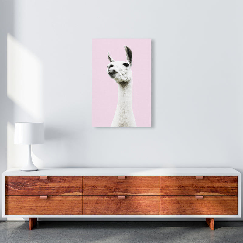Pink Llama Photography Print by Victoria Frost A2 Canvas