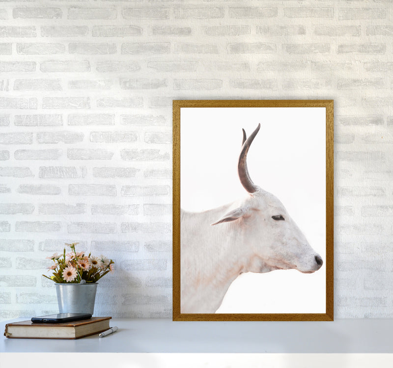 White Cow II Photography Print by Victoria Frost A2 Print Only