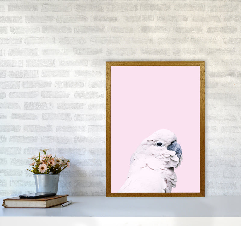 Pink Cockatoo Photography Print by Victoria Frost A2 Print Only