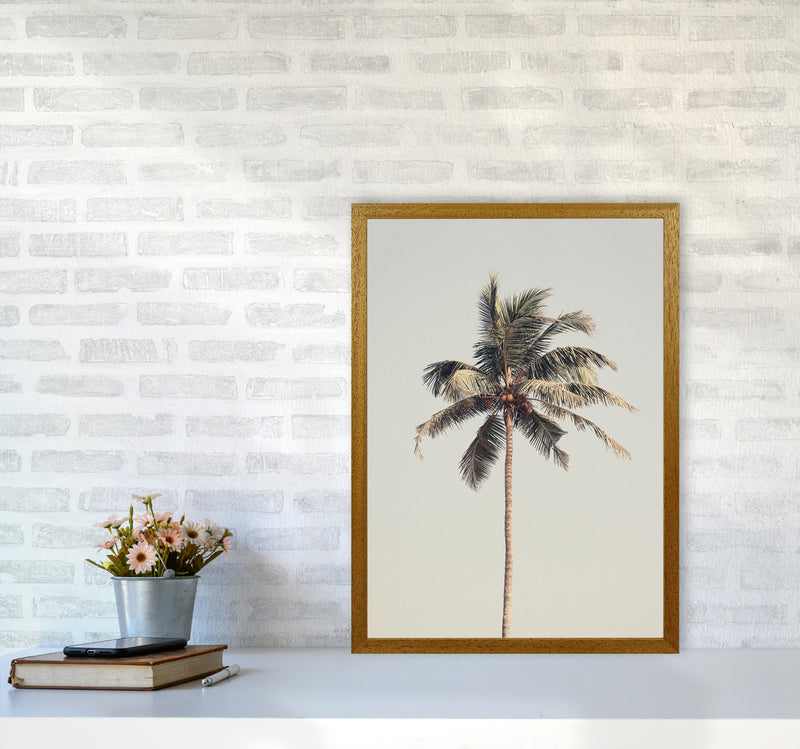 Palm tree by the beach Photography Print by Victoria Frost A2 Print Only