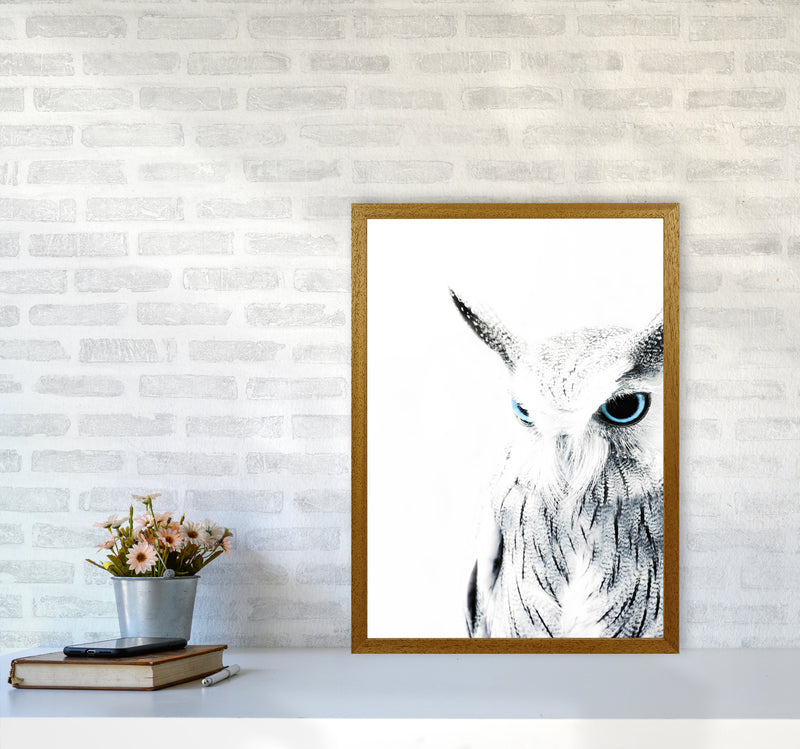 Owl I Photography Print by Victoria Frost A2 Print Only