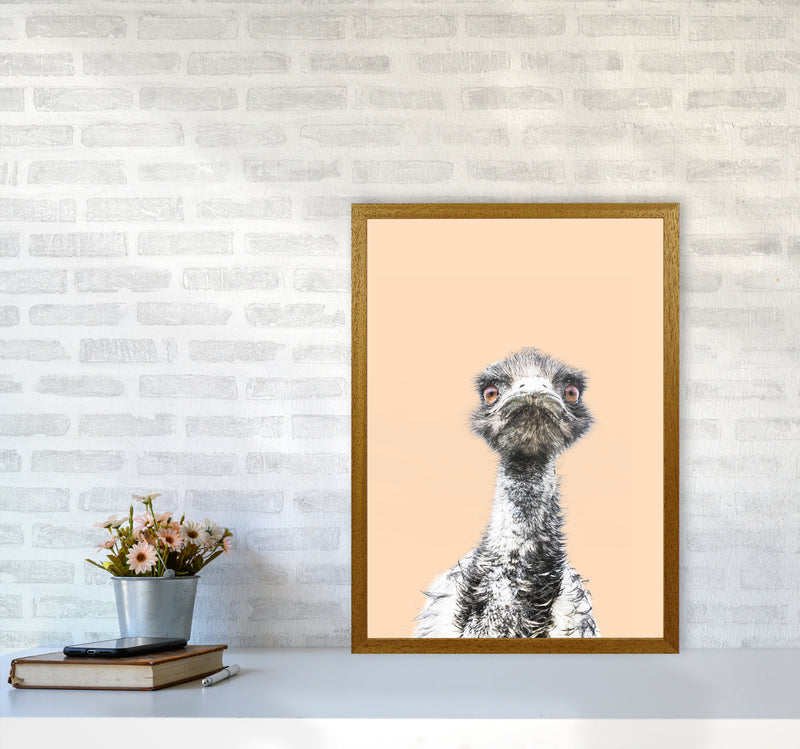 Orange Emu Photography Print by Victoria Frost A2 Print Only