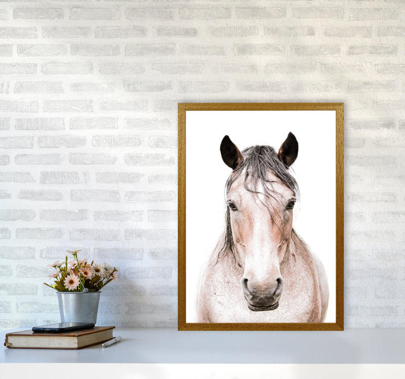 Horse Photography Print by Victoria Frost A2 Print Only