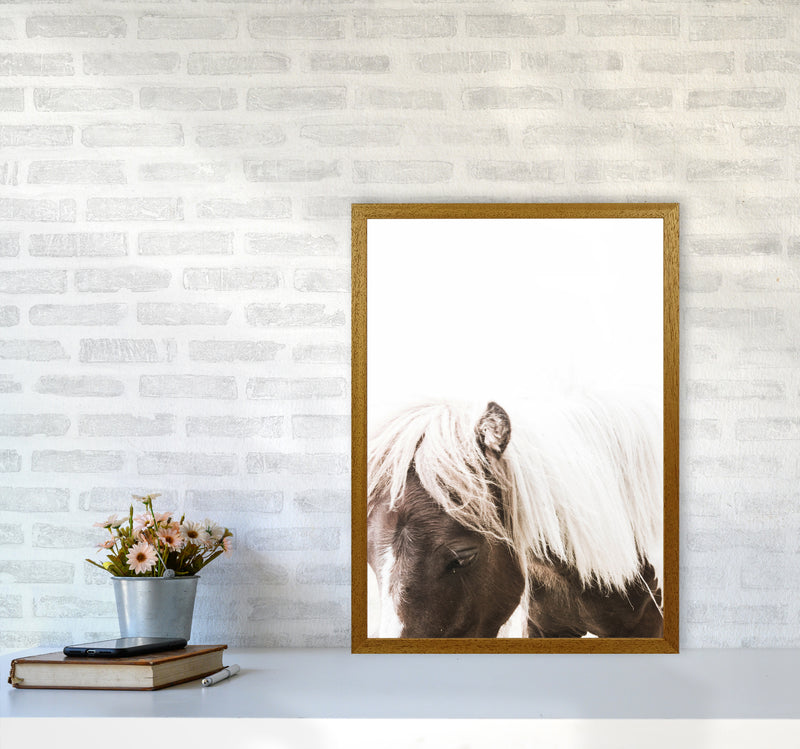 Horse III Photography Print by Victoria Frost A2 Print Only