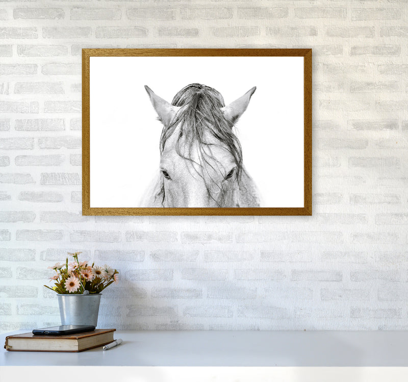 Horse II Photography Print by Victoria Frost A2 Print Only