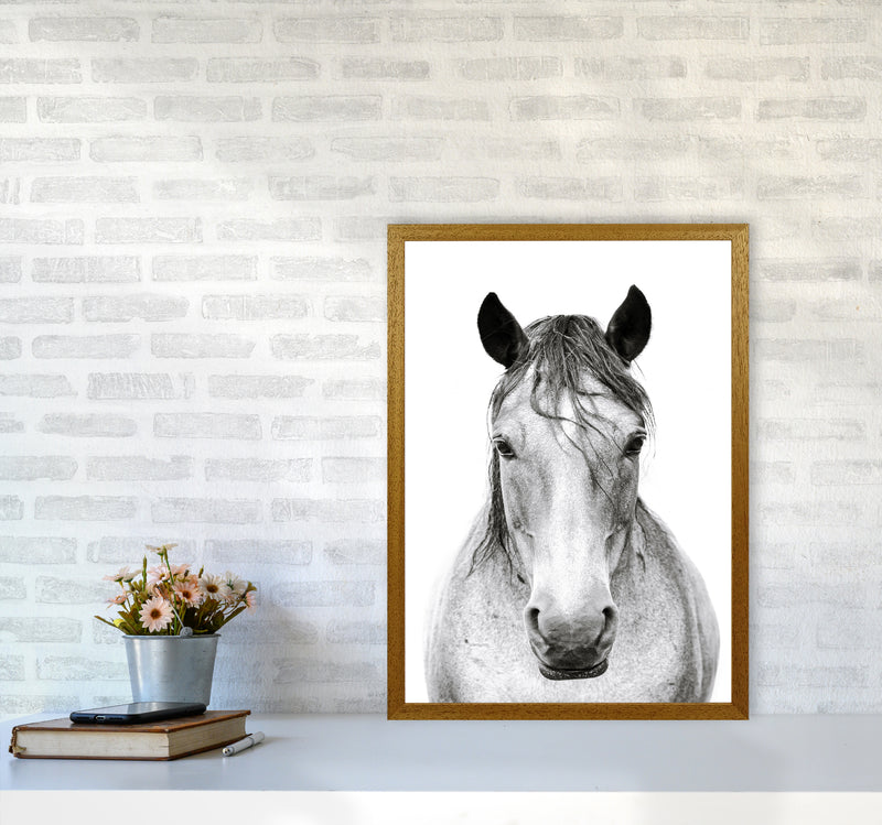 Horse I Photography Print by Victoria Frost A2 Print Only