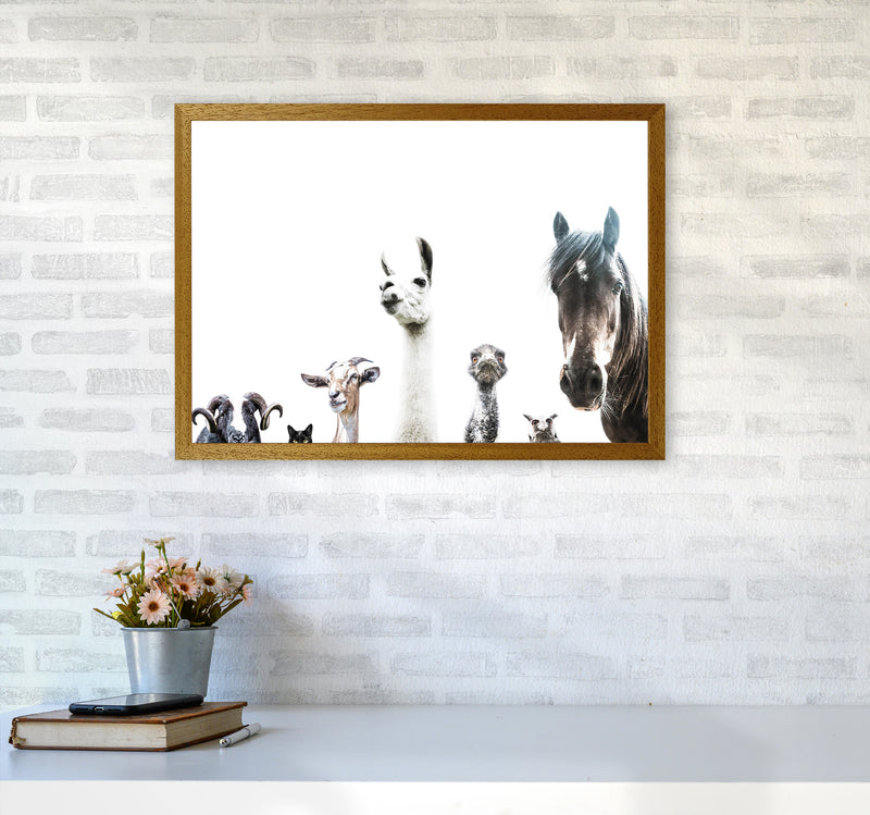 Animal Crew Photography Print by Victoria Frost A2 Print Only
