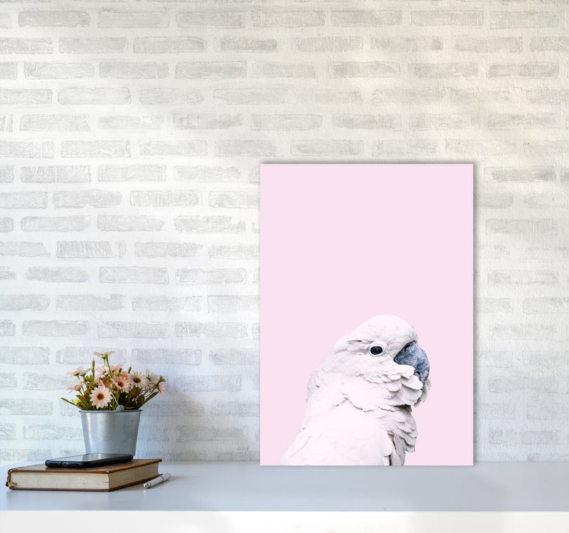 Pink Cockatoo Photography Print by Victoria Frost A2 Black Frame