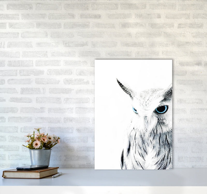 Owl I Photography Print by Victoria Frost A2 Black Frame