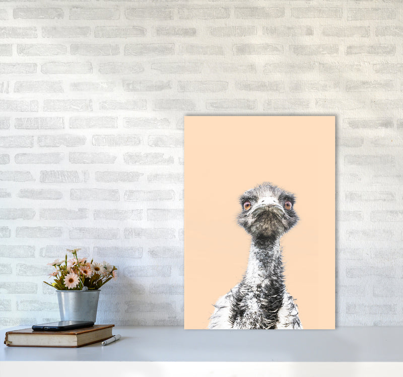 Orange Emu Photography Print by Victoria Frost A2 Black Frame