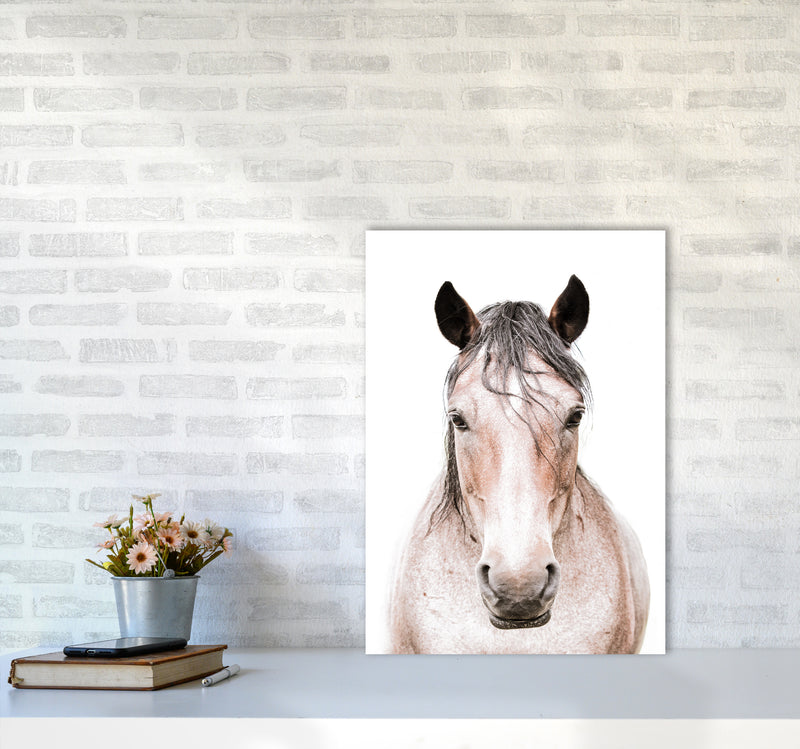 Horse Photography Print by Victoria Frost A2 Black Frame