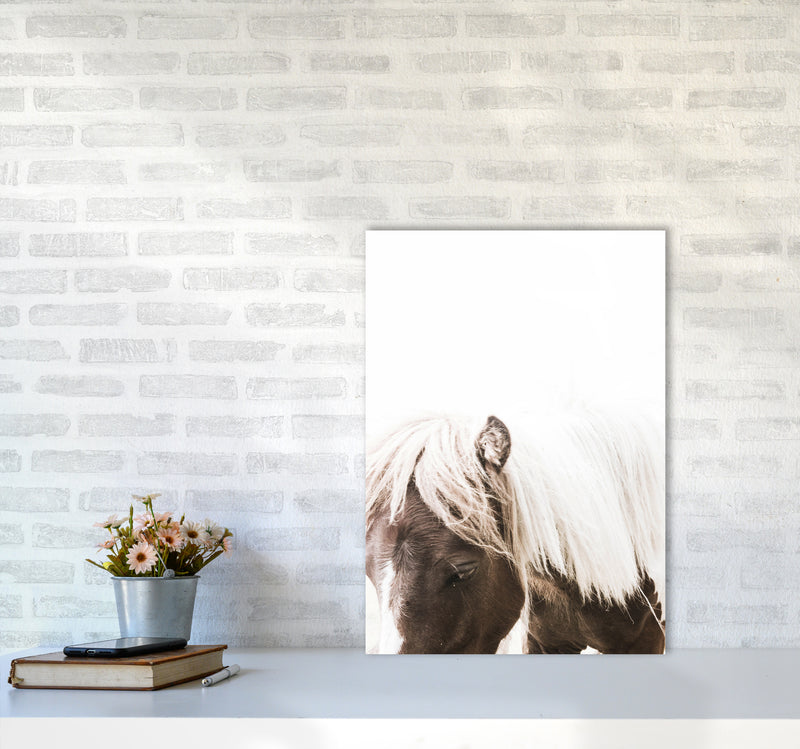 Horse III Photography Print by Victoria Frost A2 Black Frame