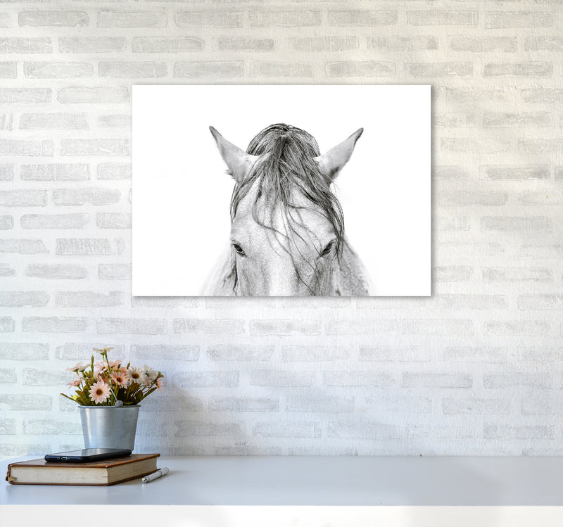 Horse II Photography Print by Victoria Frost A2 Black Frame