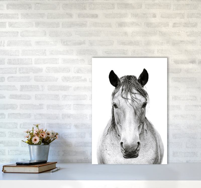 Horse I Photography Print by Victoria Frost A2 Black Frame