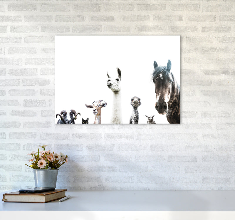 Animal Crew Photography Print by Victoria Frost A2 Black Frame