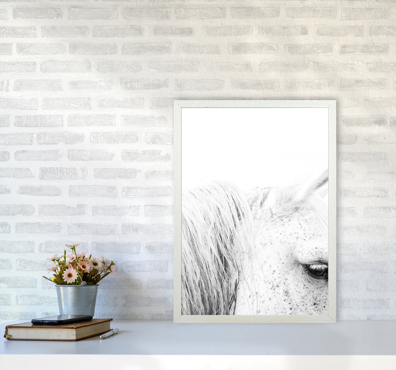 White Horse II Photography Print by Victoria Frost A2 Oak Frame