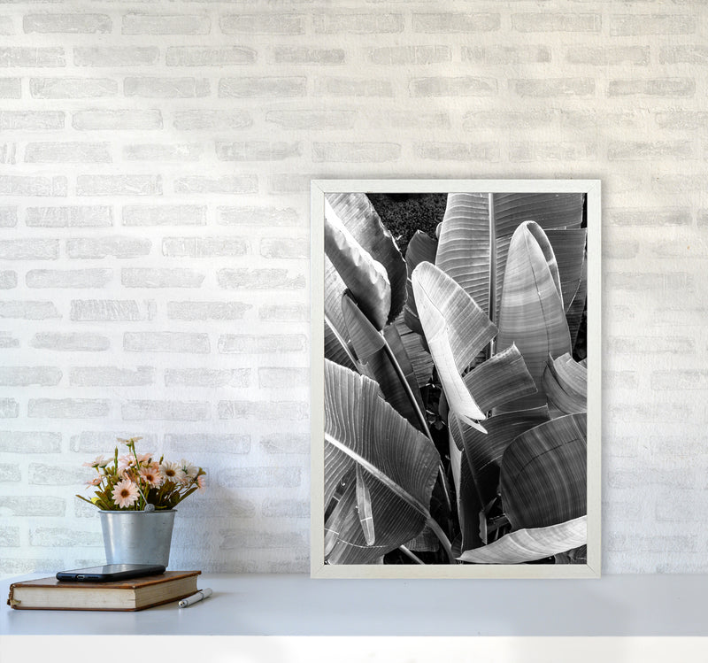 Palms Leafs Photography Print by Victoria Frost A2 Oak Frame