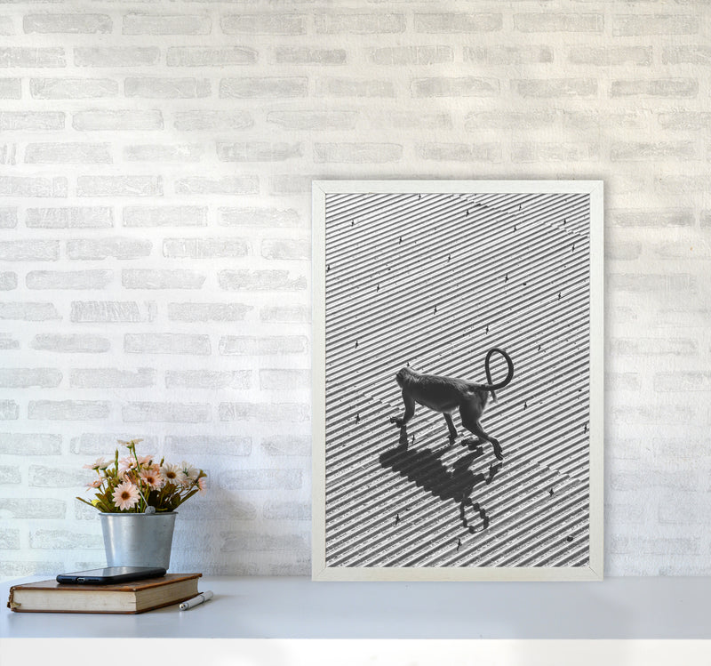 Monkey Buisness Photography Print by Victoria Frost A2 Oak Frame