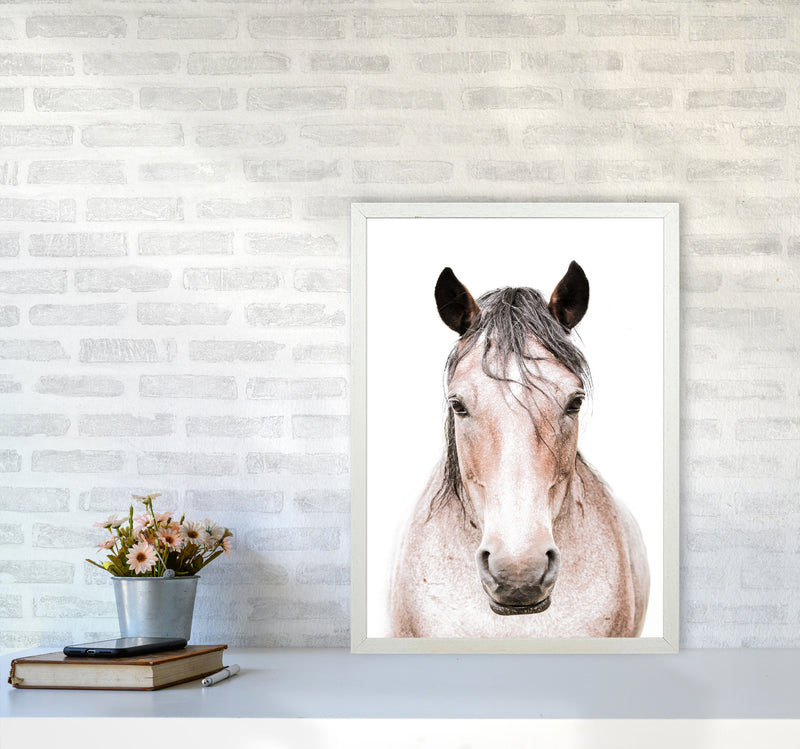 Horse Photography Print by Victoria Frost A2 Oak Frame