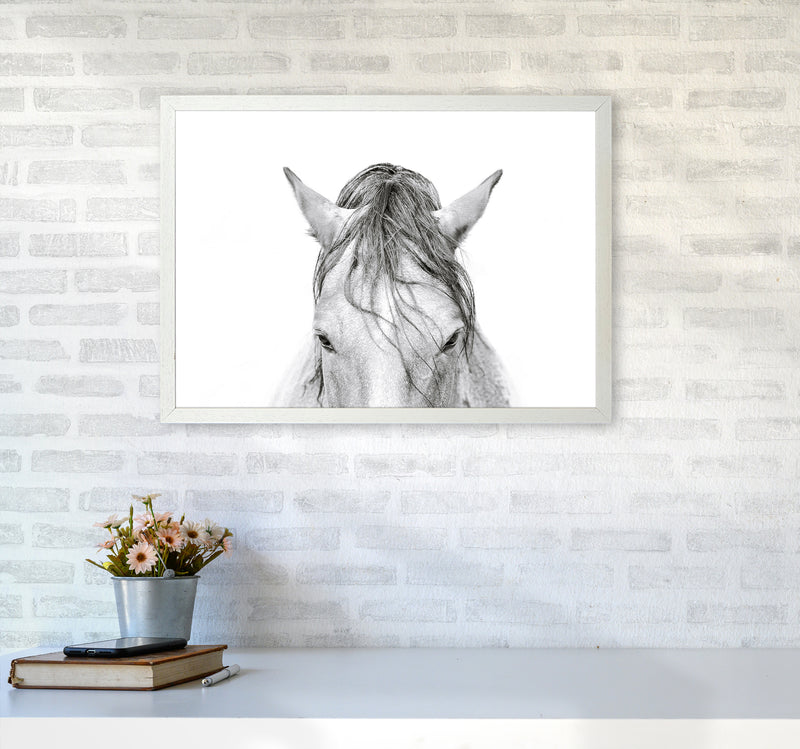 Horse II Photography Print by Victoria Frost A2 Oak Frame