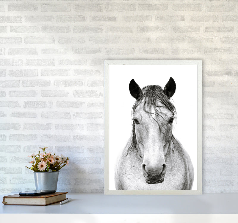 Horse I Photography Print by Victoria Frost A2 Oak Frame